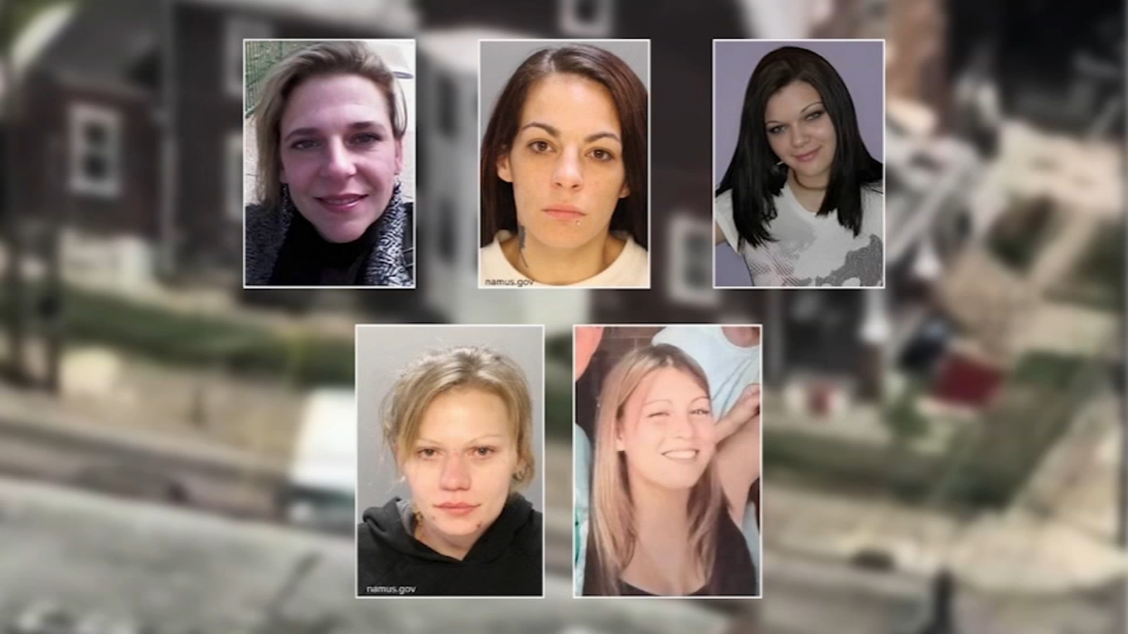 Composite image of five women publicly linked in reporting to the West Chew Avenue investigation.